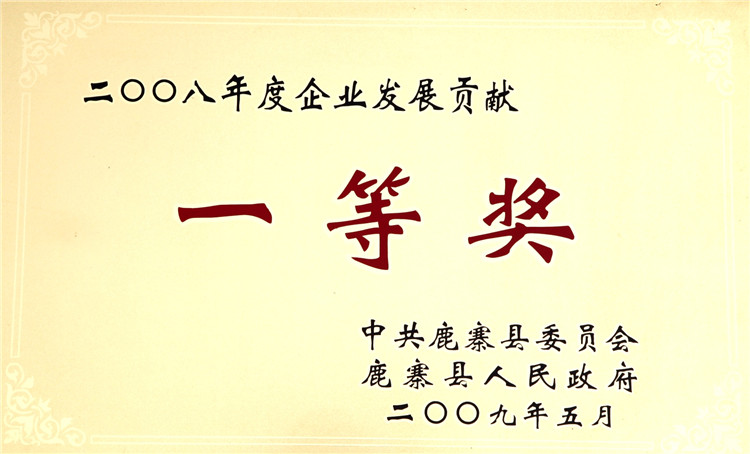2008年度企業發展貢獻一(yī / yì ／yí)等獎