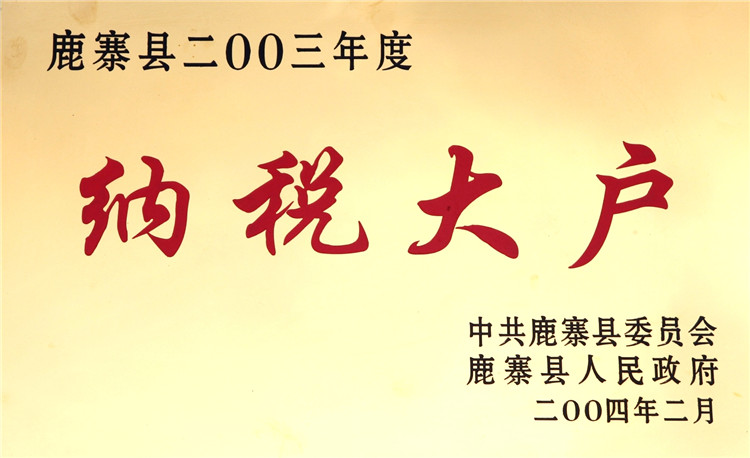2003年度納稅大(dà)戶