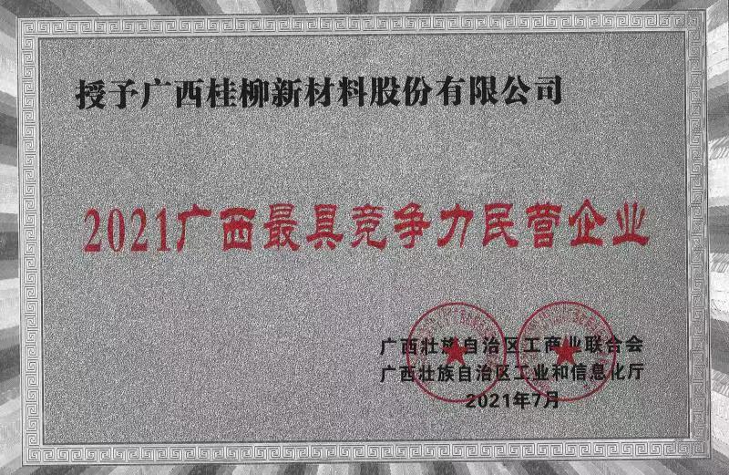 2021廣西最具競争力民營企業